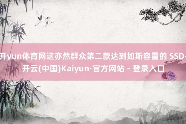 开yun体育网这亦然群众第二款达到如斯容量的 SSD-开云(中国)Kaiyun·官方网站 - 登录入口