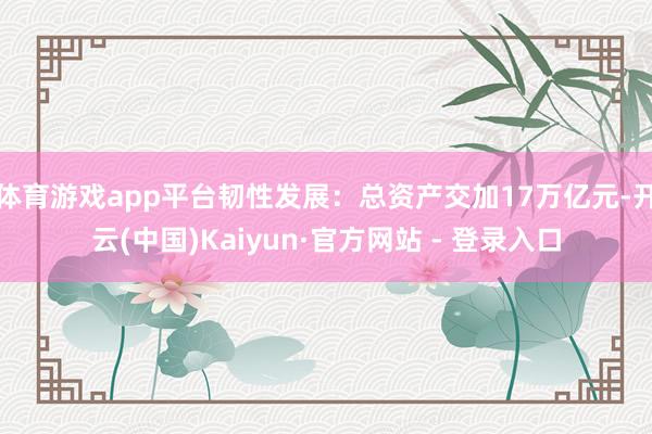 体育游戏app平台韧性发展：总资产交加17万亿元-开云(中国)Kaiyun·官方网站 - 登录入口