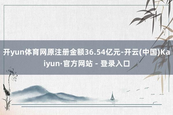 开yun体育网原注册金额36.54亿元-开云(中国)Kaiyun·官方网站 - 登录入口