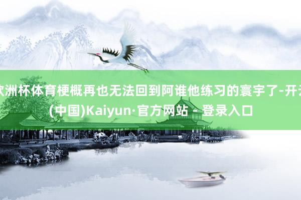 欧洲杯体育梗概再也无法回到阿谁他练习的寰宇了-开云(中国)Kaiyun·官方网站 - 登录入口