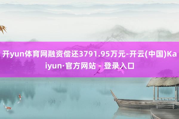 开yun体育网融资偿还3791.95万元-开云(中国)Kaiyun·官方网站 - 登录入口