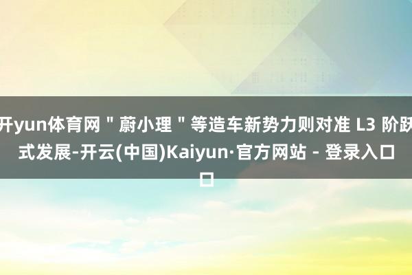 开yun体育网＂蔚小理＂等造车新势力则对准 L3 阶跃式发展-开云(中国)Kaiyun·官方网站 - 登录入口