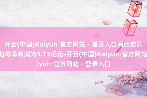 开云(中国)Kaiyun·官方网站 - 登录入口同比增长71.27%；归母净利润为3.13亿元-开云(中国)Kaiyun·官方网站 - 登录入口