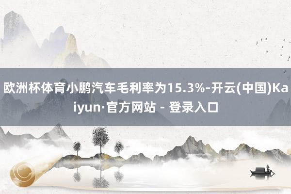 欧洲杯体育小鹏汽车毛利率为15.3%-开云(中国)Kaiyun·官方网站 - 登录入口