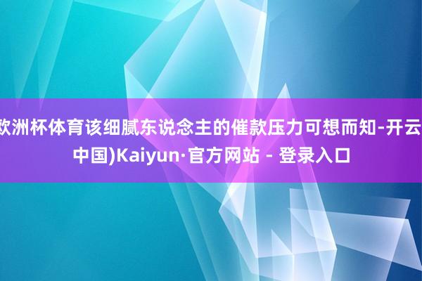 欧洲杯体育该细腻东说念主的催款压力可想而知-开云(中国)Kaiyun·官方网站 - 登录入口