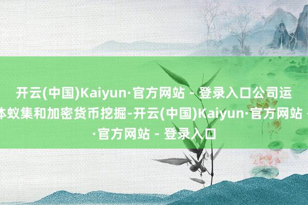 开云(中国)Kaiyun·官方网站 - 登录入口公司运营包括媒体蚁集和加密货币挖掘-开云(中国)Kaiyun·官方网站 - 登录入口