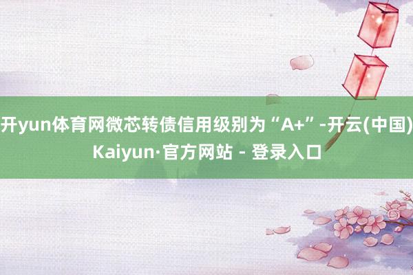 开yun体育网微芯转债信用级别为“A+”-开云(中国)Kaiyun·官方网站 - 登录入口
