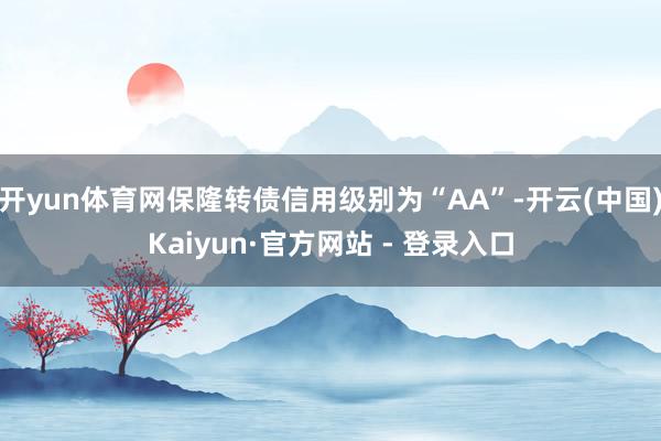 开yun体育网保隆转债信用级别为“AA”-开云(中国)Kaiyun·官方网站 - 登录入口