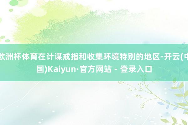 欧洲杯体育在计谋戒指和收集环境特别的地区-开云(中国)Kaiyun·官方网站 - 登录入口